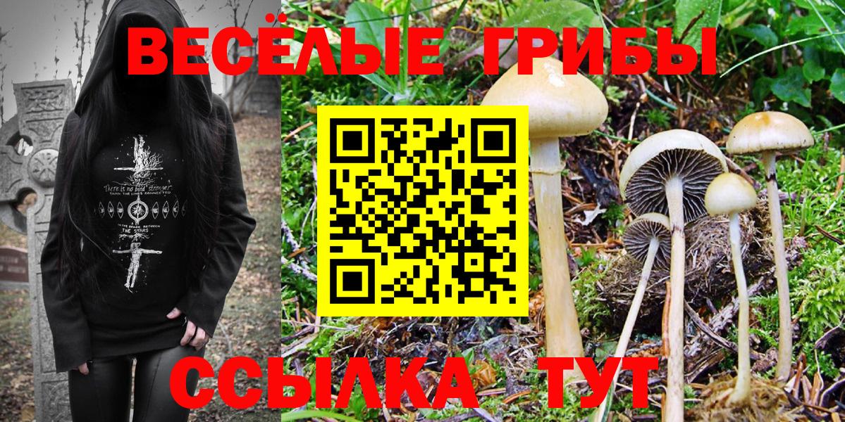 Галлюциногенные грибы Cubensis  Вход с VPN  Первоуральск 